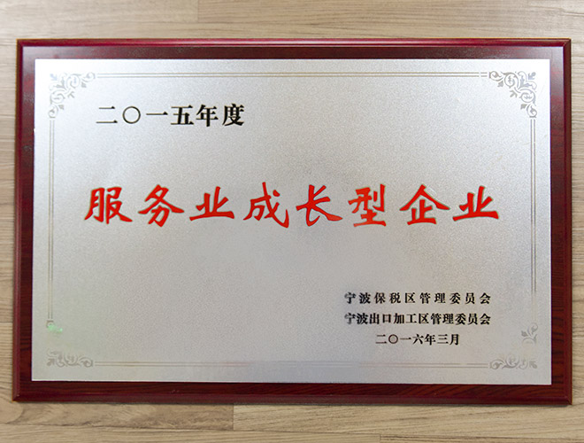 服務業(yè)成長型企業(yè)